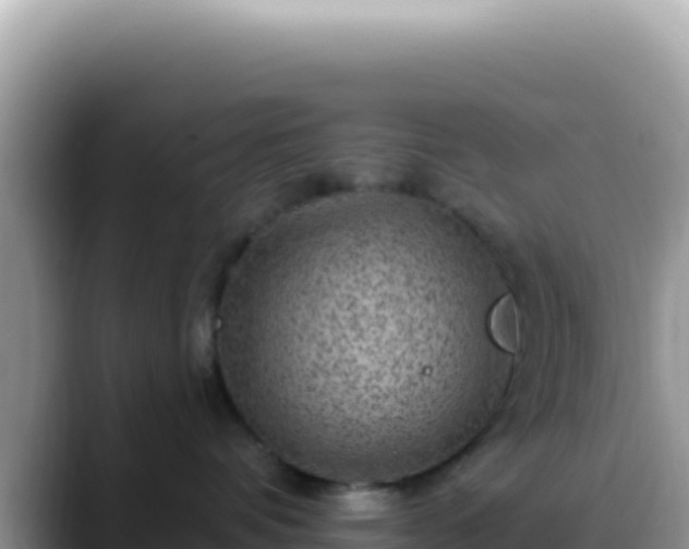 X0000088730336200706071645