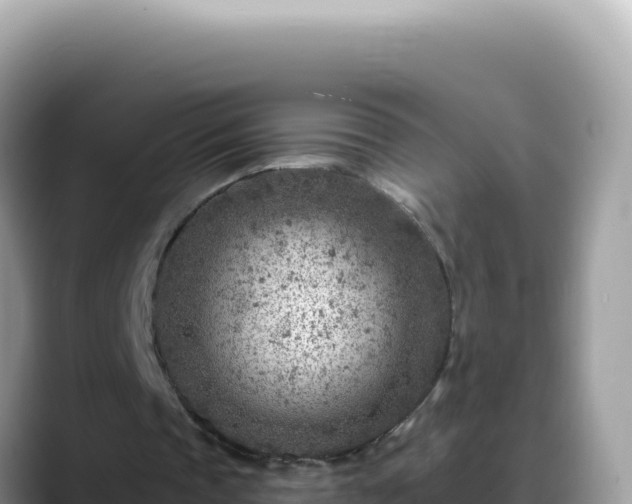 X0000088730337200706071644