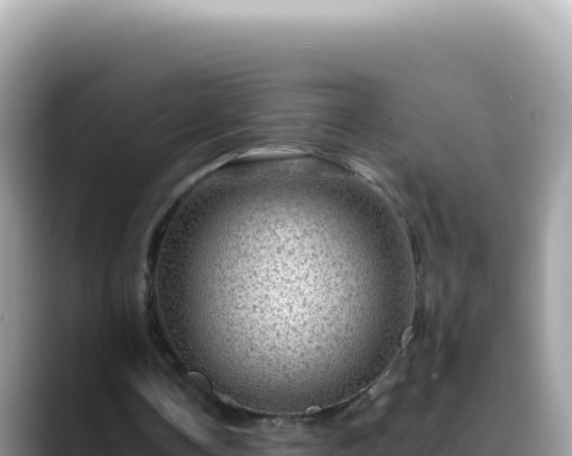 X0000088730338200706071644