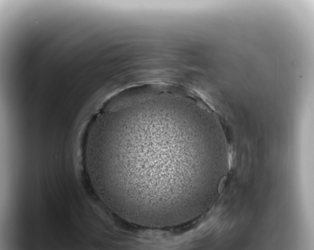 X0000088730339200706071644