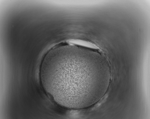 X0000088730341200706071644