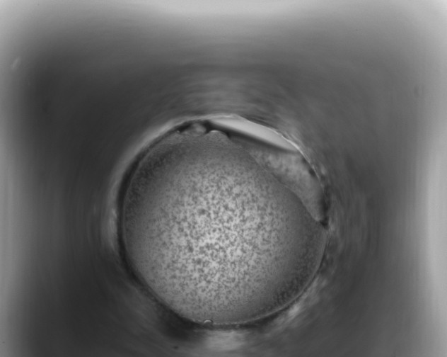 X0000088730342200706071644
