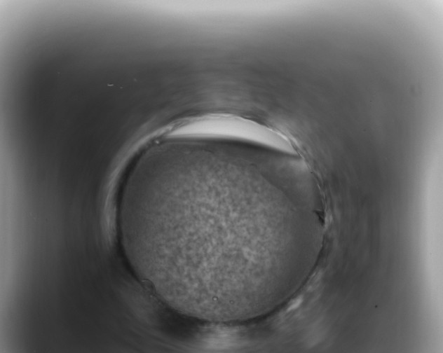 X0000088730343200706071644