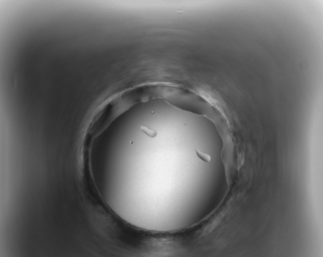X0000088730344200706071644