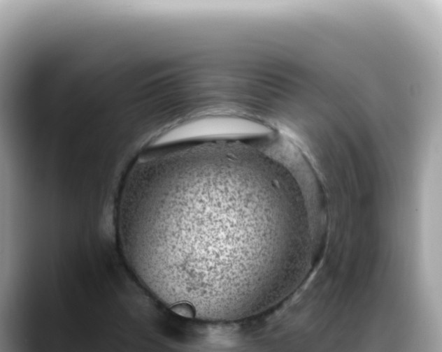 X0000088730345200706071644