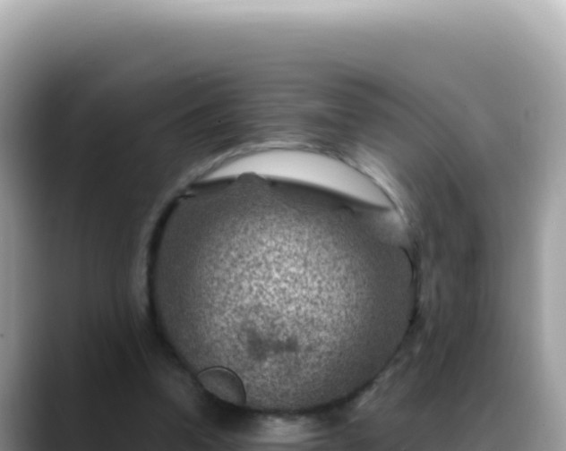 X0000088730346200706071644