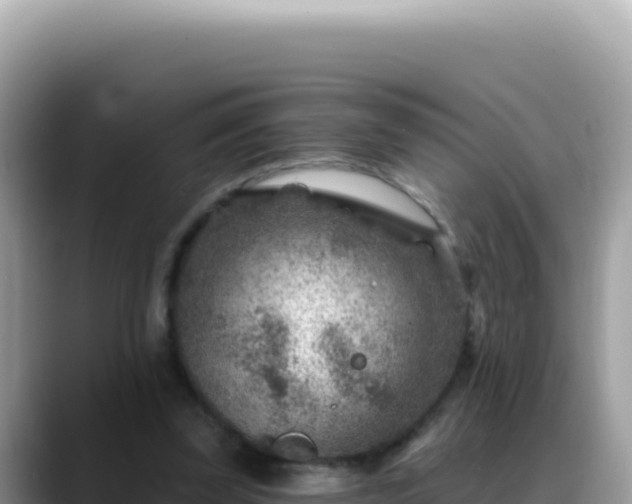 X0000088730347200706071644