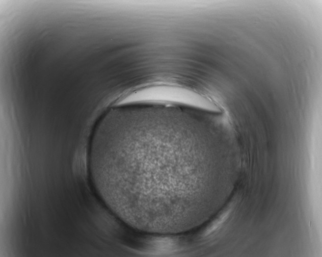 X0000088730349200706071644
