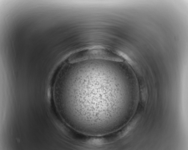 X0000088730350200706071644