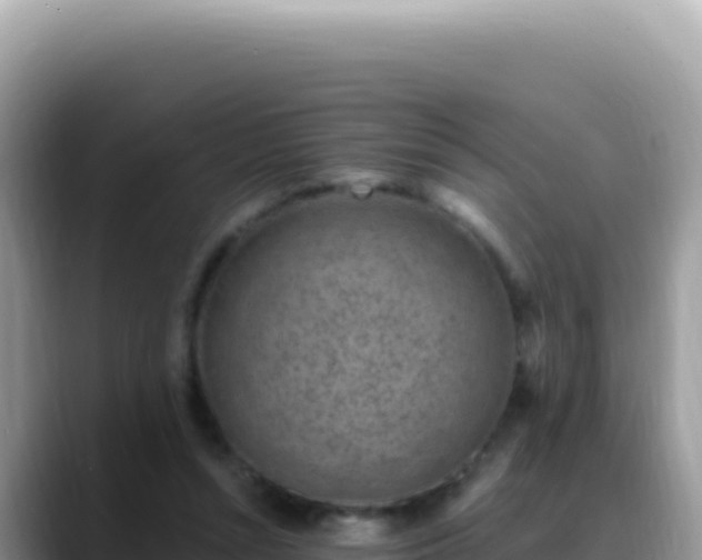 X0000088730352200706071644