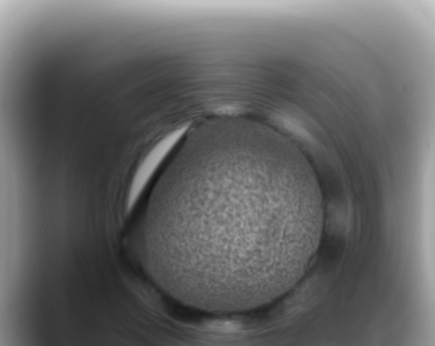 X0000088730358200706071644