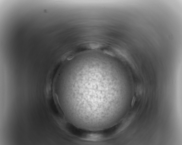 X0000088730360200706071644