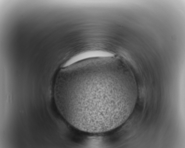 X0000088730362200706071644