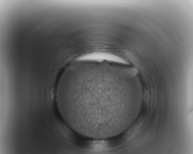 X0000088730363200706071644