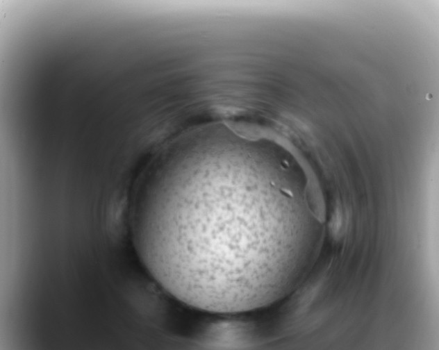 X0000088730364200706071644