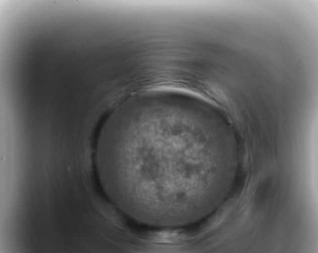 X0000088730366200706071644