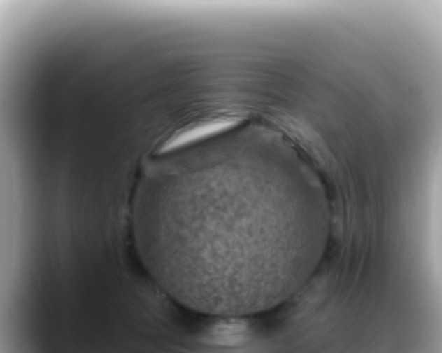 X0000088730369200706071644