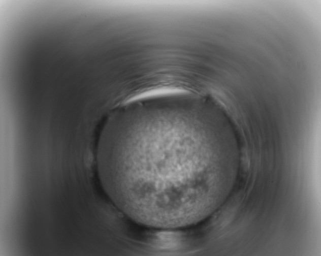 X0000088730371200706071644