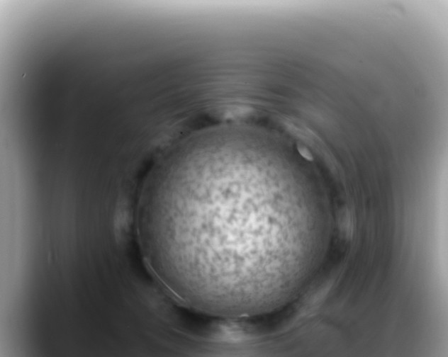 X0000088730372200706071644