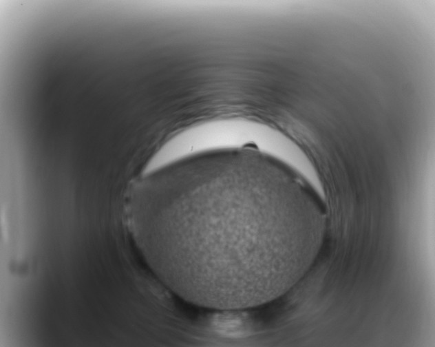 X0000088730373200706071644