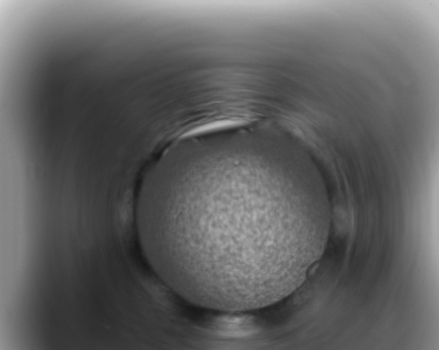 X0000088730375200706071644