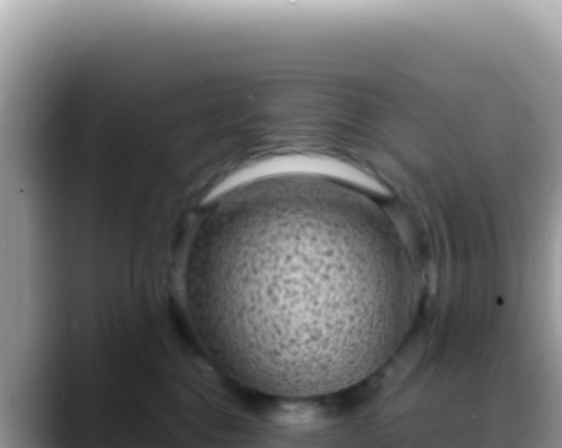 X0000088730376200706071645