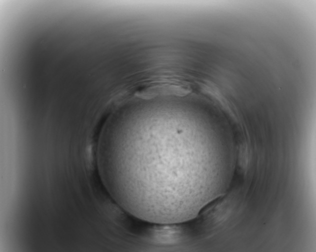 X0000088730378200706071645