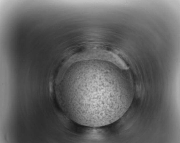 X0000088730379200706071645