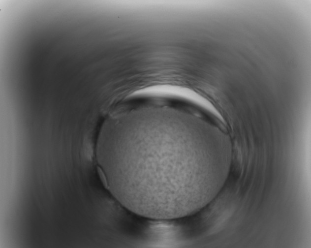 X0000088730380200706071645