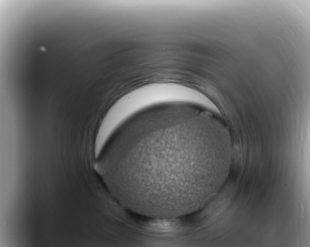 X0000088730381200706071645