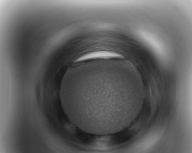 X0000088730382200706071645