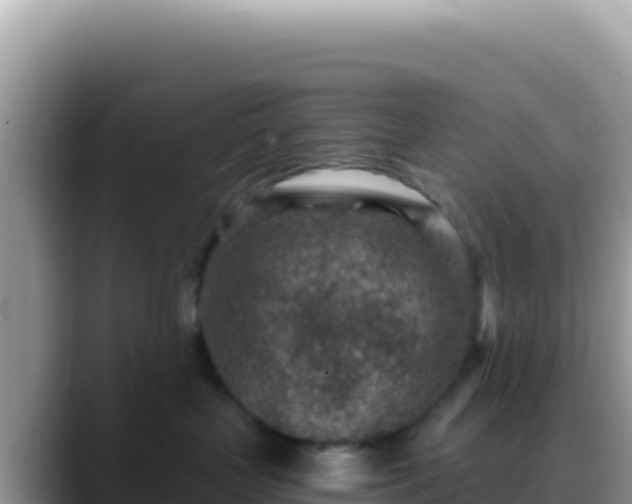 X0000088730383200706071645