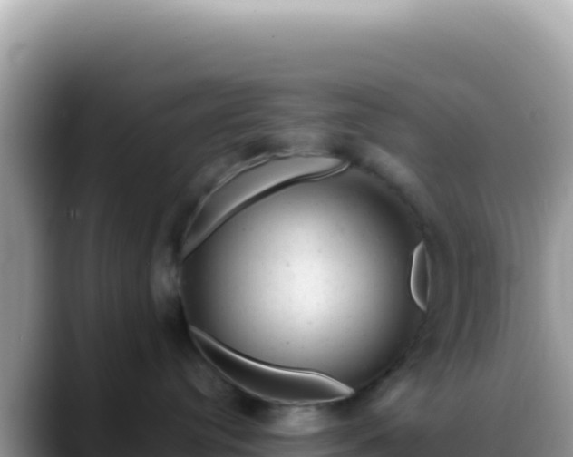 X0000088730384200706071645