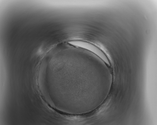 X0000088730385200706071644