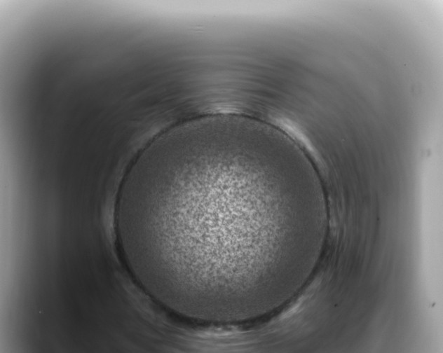 X0000088730386200706071644
