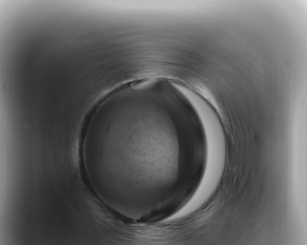 X0000088730387200706071644