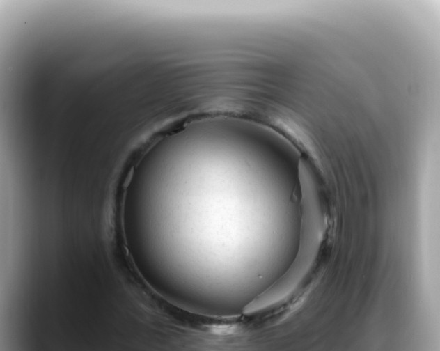 X0000088730388200706071644