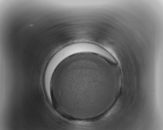 X0000088730389200706071644