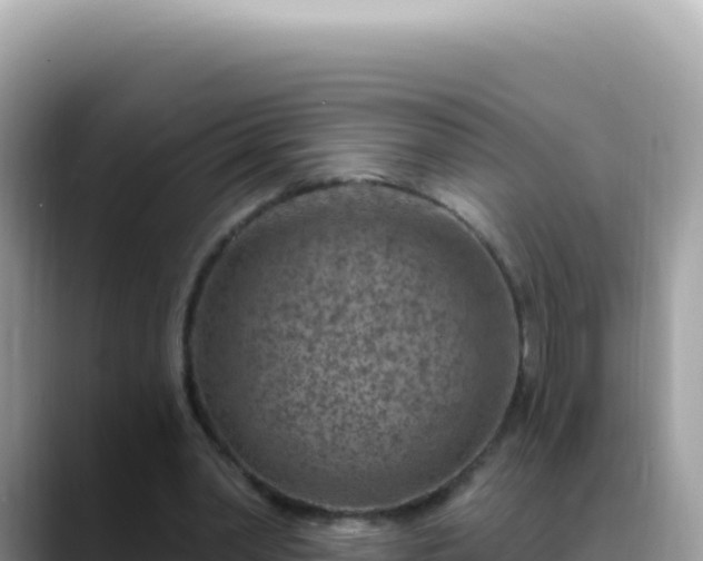 X0000088730390200706071644
