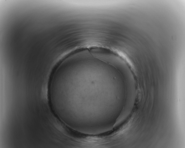 X0000088730391200706071644