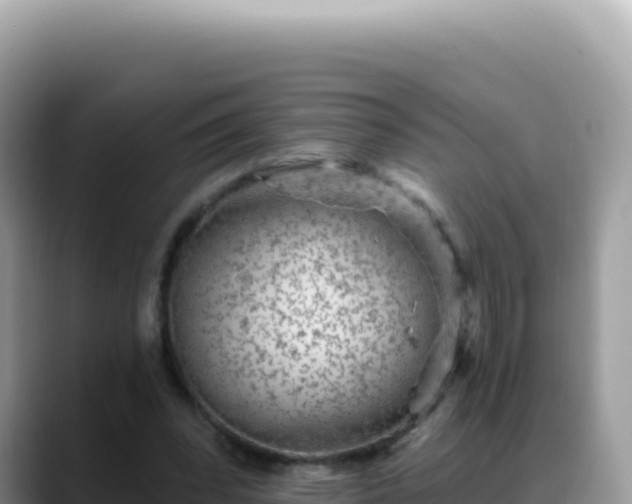 X0000088730392200706071644