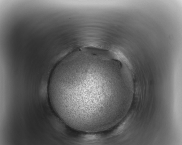 X0000088730394200706071644