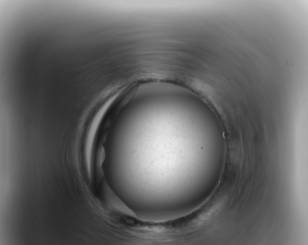 X0000088730395200706071644