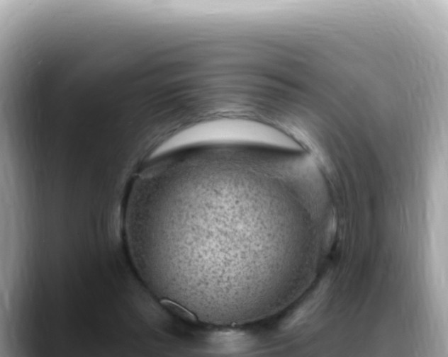 X0000088730397200706071644