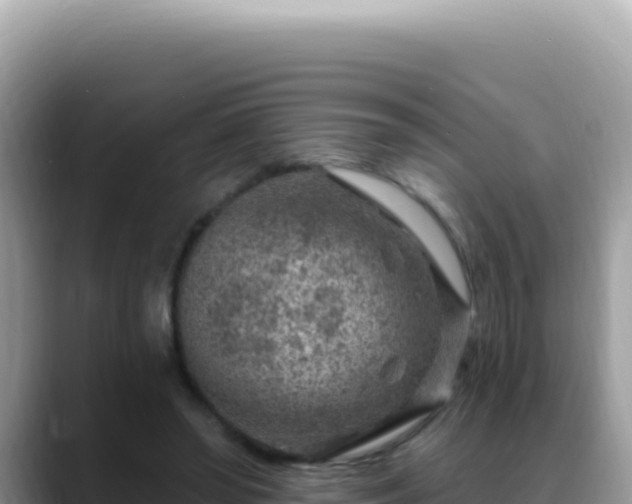 X0000088730398200706071644