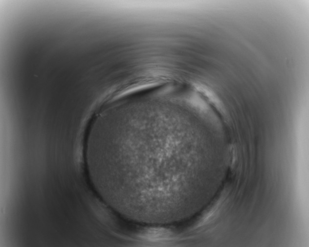 X0000088730399200706071644
