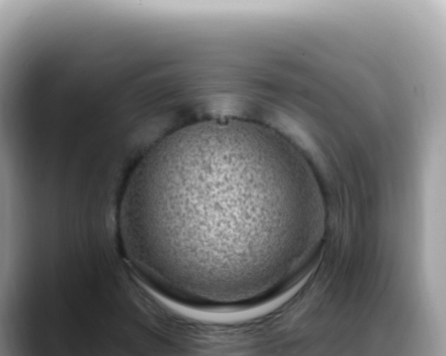 X0000088730401200706071644