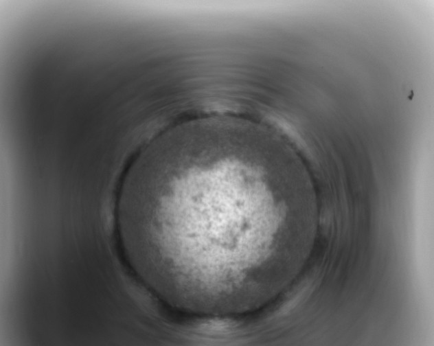 X0000088730402200706071644