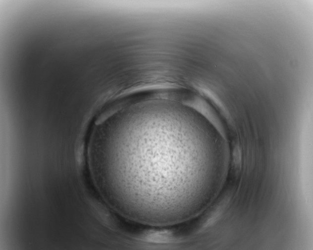 X0000088730403200706071644