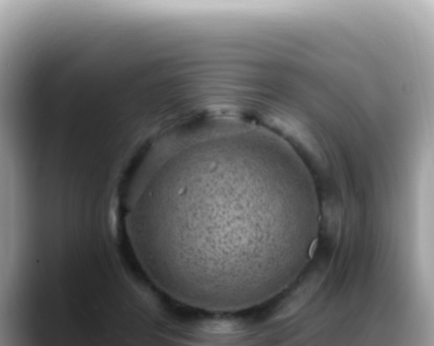 X0000088730404200706071644